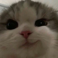 Đhiyy._Trai