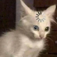Hmiopp._Trai