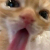 Nhyree._Gái