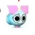 poppy