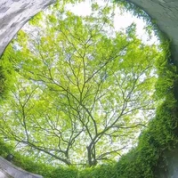 5 người trừ ai thì trừ