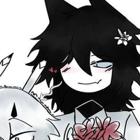 mister compass thik kitat