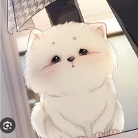 Pilo