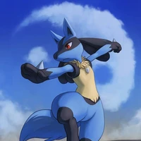 Lucario(Hoko)