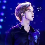 RM (Kim Namjoon )