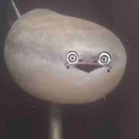 T/g