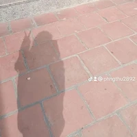 Con wủy (báo main)[mochi🍑]