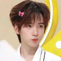 Hạ Tuấn Lâm