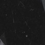 Đa NV