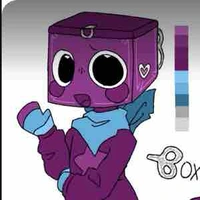 Boxten