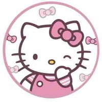 Hello kitty 🐱t/g