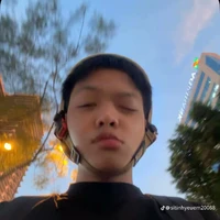 Ngô Anh Vũ (lil van)