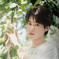 Trương Chân Nguyên ( Nguyên chủ)