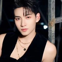 Huỳnh Hoàng Hùng -  Gemini Hùng Huỳnh