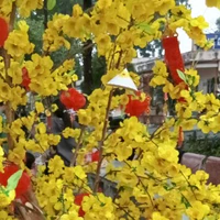 all muốn trừ ai thì trừ 