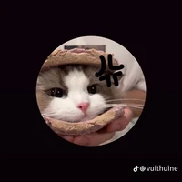 Y/N