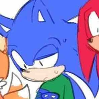 Sonic ( vì t là ng đtry)
