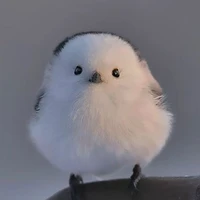 Pu