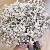Hệ Thống của Truyện