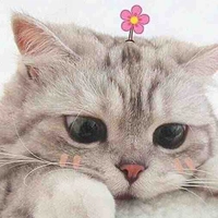 Hệ thống dangyeo :3 (Tủn)