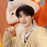 Đinh Trình Hâm (em)