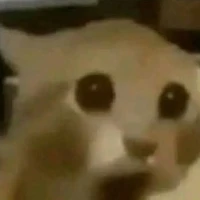 thầy giáo ắk wỷ