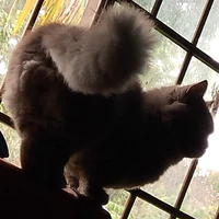 Cloudy nề