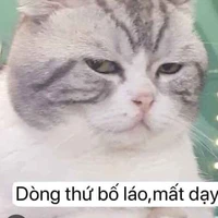 t/g bố láo