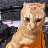 pháp sư diệt tà linh concutochaba
