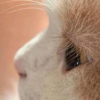 sữa nè 😘