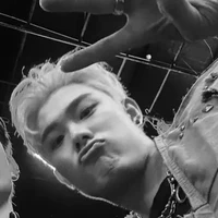 Trần Đăng Dương