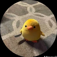 Puchi