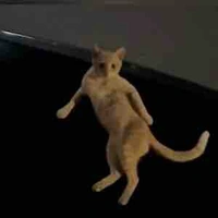 Một người bí ẩn nào đó…