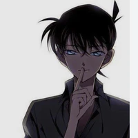 Shinichi(Conan)