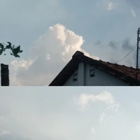 Tác giả