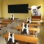cả lớp báo