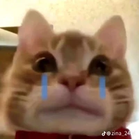 [nhật]