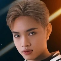 Nguyễn Thiện Pháp