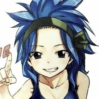 Levy