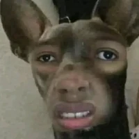 Tính cọc xin đừng chọc chó