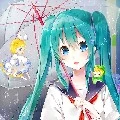 koto chan