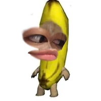 Any dthw s1tg