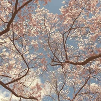 All trừ ai thì trừ