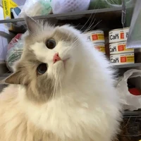 Ru