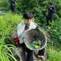 Sốp pi
