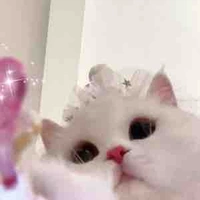 tác giả đáng iuu