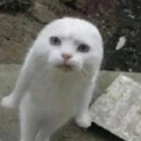 Sì líp jack yêu ah💔