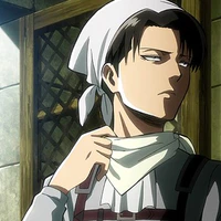 ackerman levi