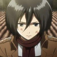 ackerman mikasha