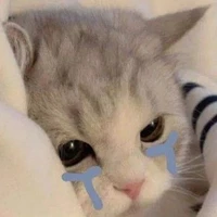 ✨🌷Tác giả 😭✨